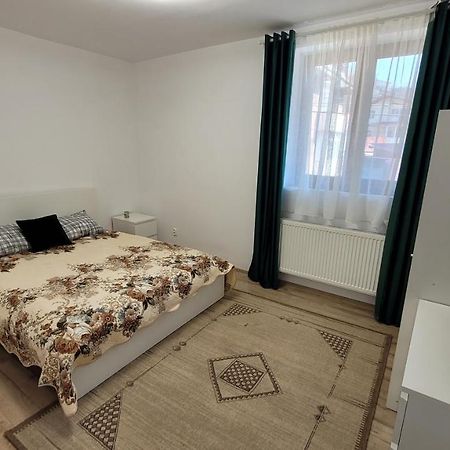 Andy Apartament Petrosani Bagian luar foto
