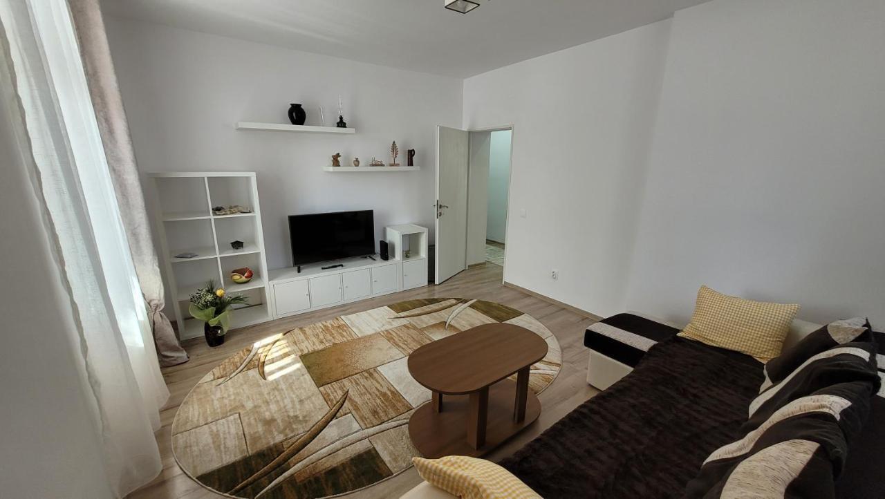Andy Apartament Petrosani Bagian luar foto