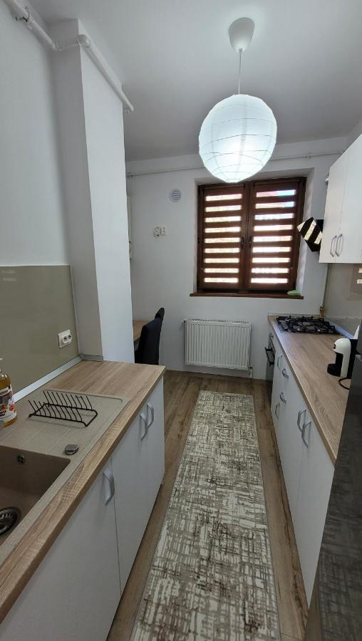 Andy Apartament Petrosani Bagian luar foto